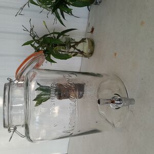 Glass Beverage Dispenser with Spigot